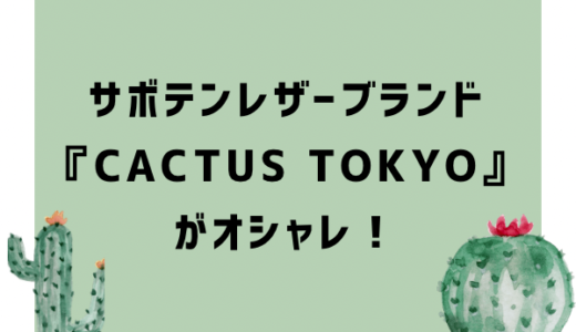 サボテンレザーの財布が話題！購入ブランドは『CACTUS TOKYO』がおすすめ