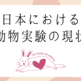 日本での動物実験の現状は？禁止する法律の有無や死亡数など徹底解説