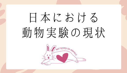日本での動物実験の現状は？禁止する法律の有無や死亡数など徹底解説